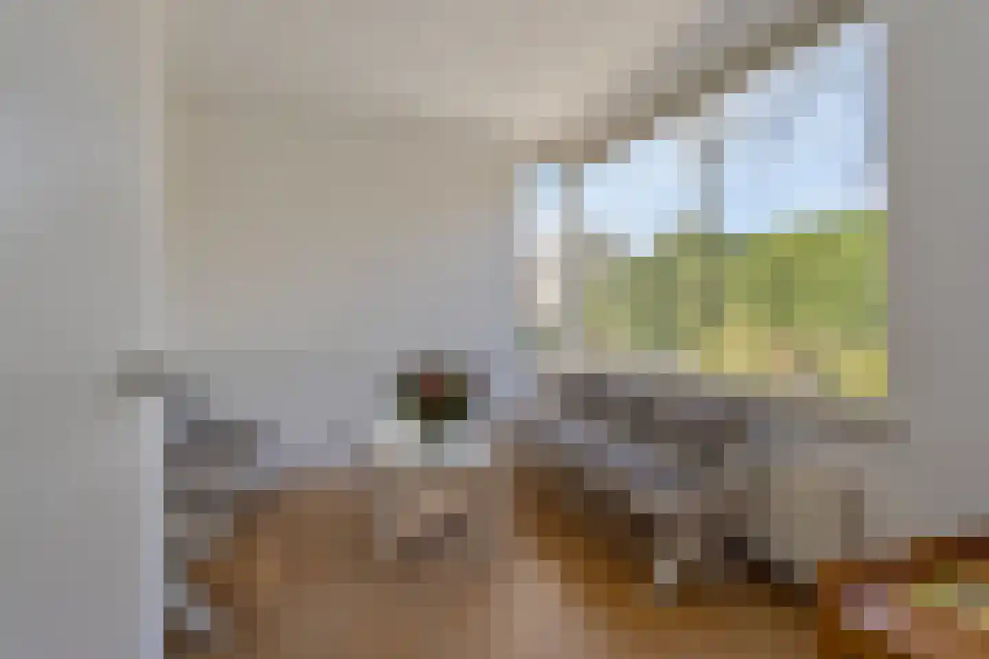 Van Houtenstraat 39 Bergen op Zoom thumbnail 49