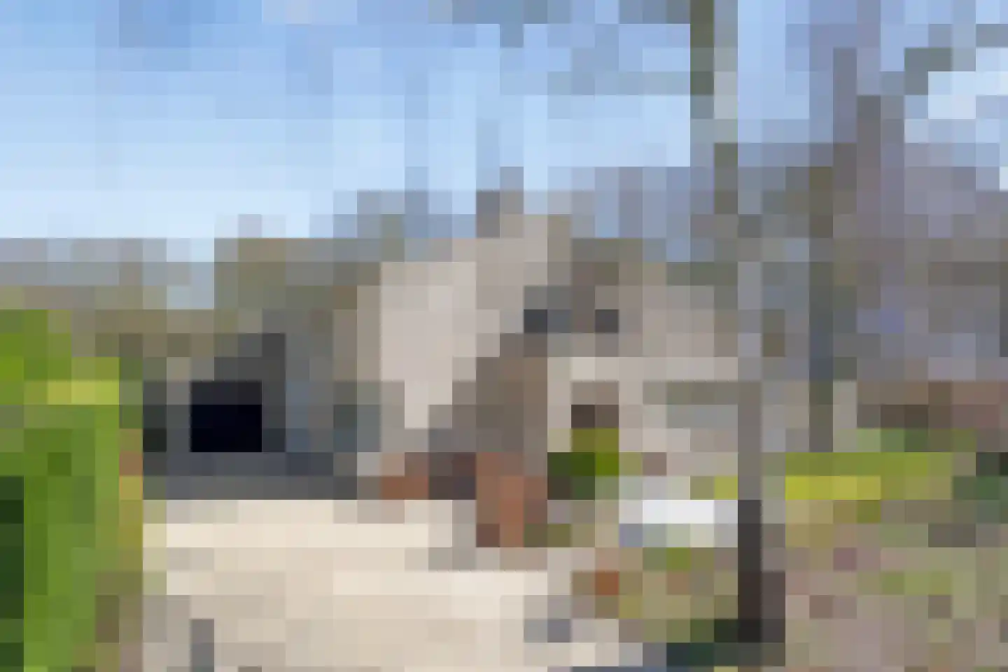 Van Houtenstraat 39 Bergen op Zoom thumbnail 56