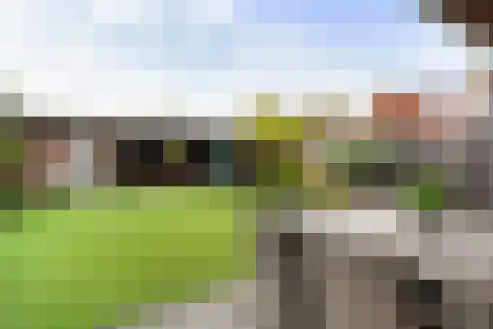 Van Houtenstraat 43 Naaldwijk thumbnail 12