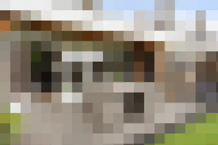 Van Houtenstraat 43 Naaldwijk thumbnail 18