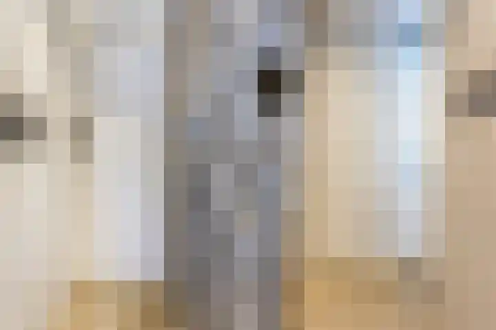 Van Houtenstraat 43 Naaldwijk thumbnail 37