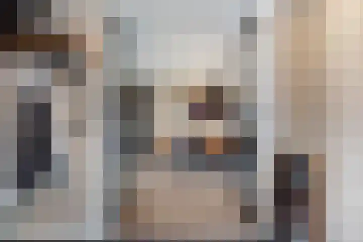 Van Houtenstraat 43 Naaldwijk thumbnail 4