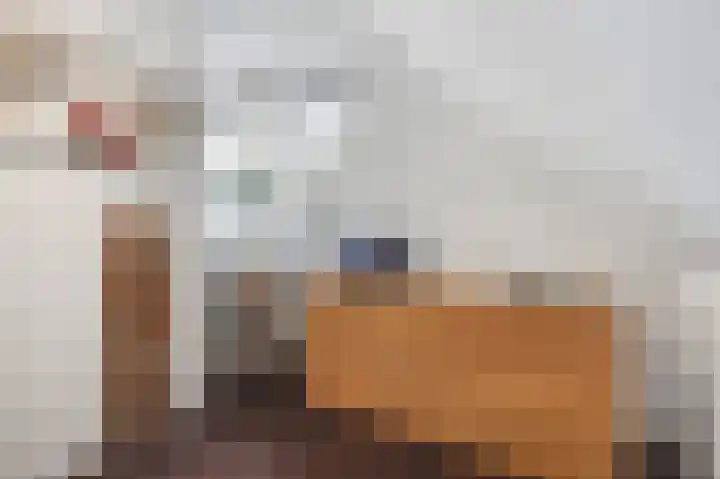 Van Houtenstraat 43 Naaldwijk thumbnail 41