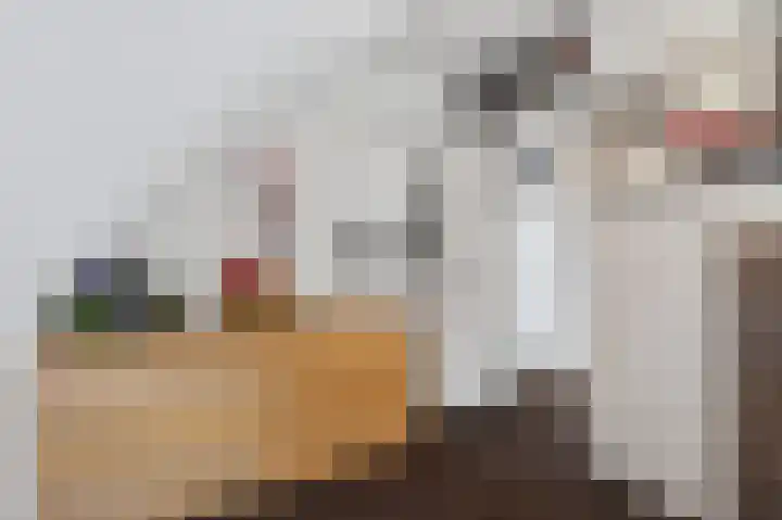 Van Houtenstraat 43 Naaldwijk thumbnail 42