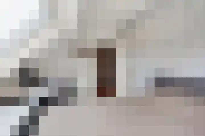 Van Houtenstraat 43 Naaldwijk thumbnail 48