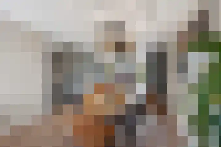 Van Houtenstraat 43 Naaldwijk thumbnail 6