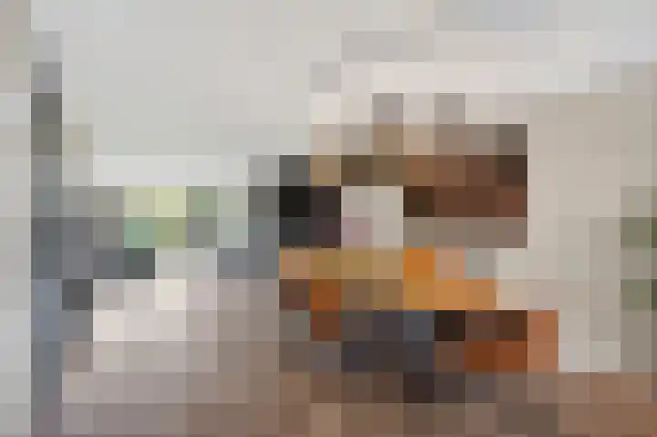Van Houtenstraat 43 Naaldwijk thumbnail 7