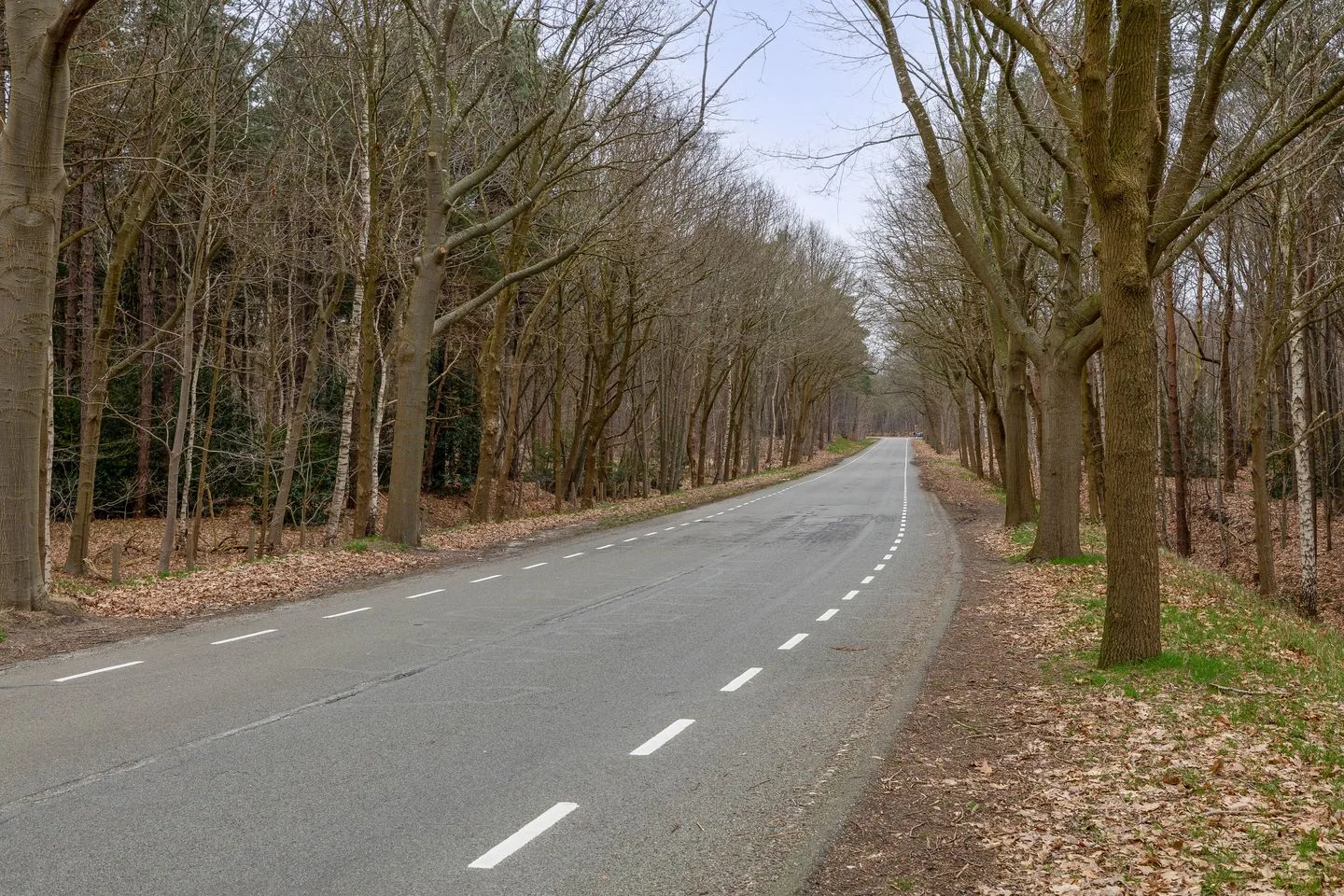 Van Houtenstraat 44 Bergen op Zoom thumbnail 45