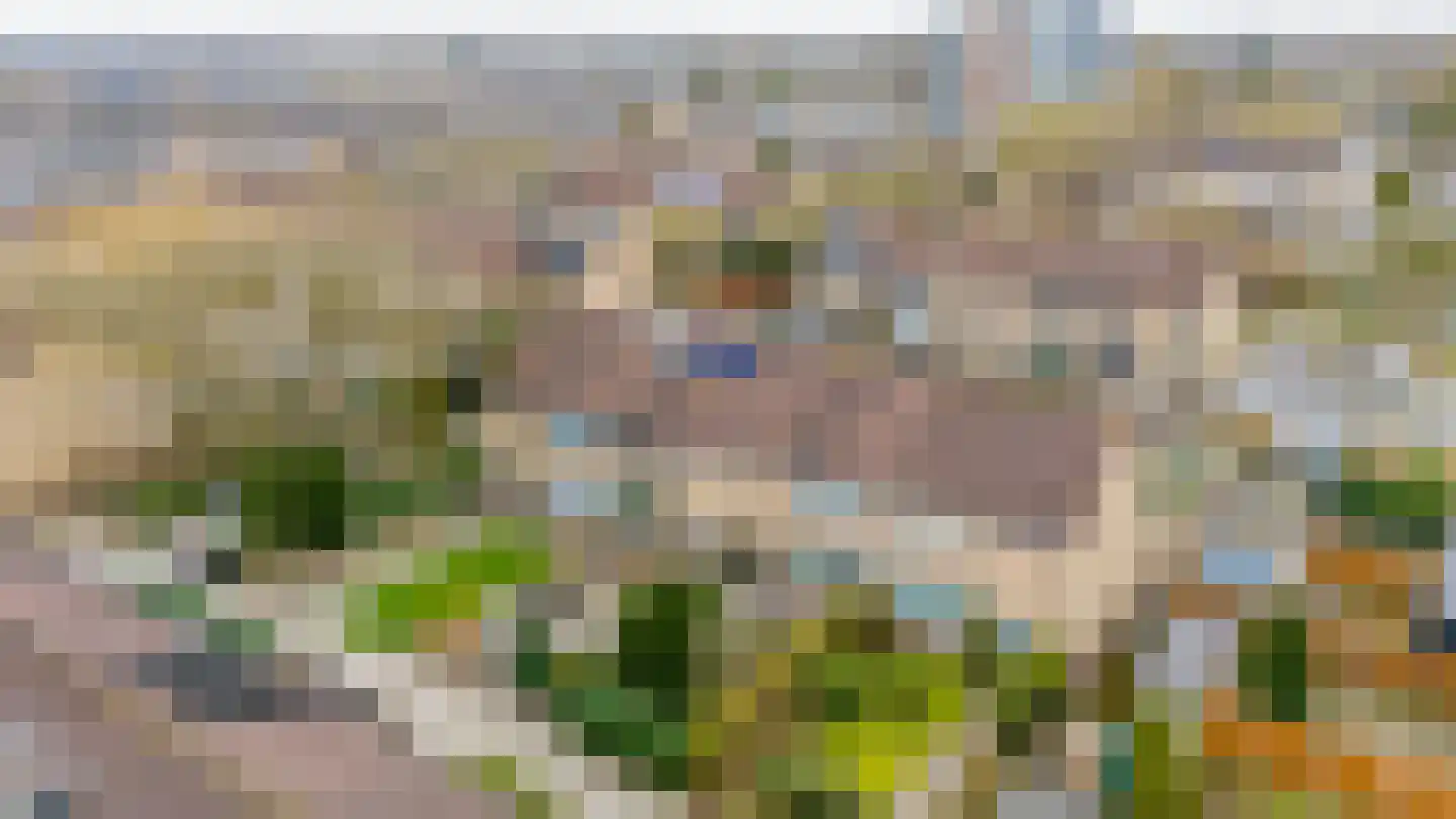 Van Houtenstraat 44 Bergen op Zoom thumbnail 55