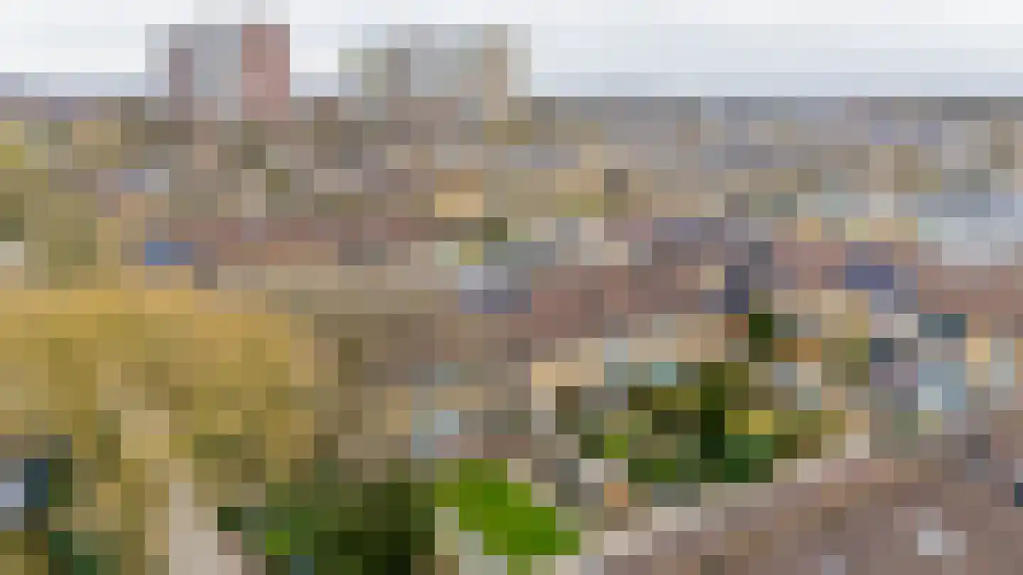 Van Houtenstraat 44 Bergen op Zoom thumbnail 56
