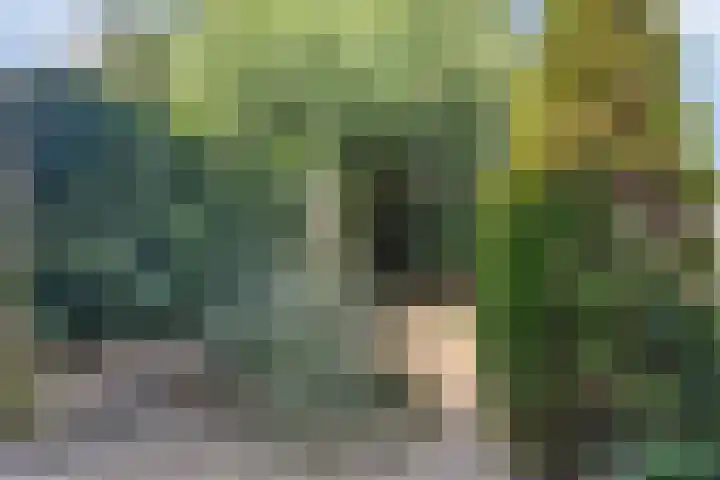 Van Houtenstraat 5 Bergen op Zoom thumbnail 26