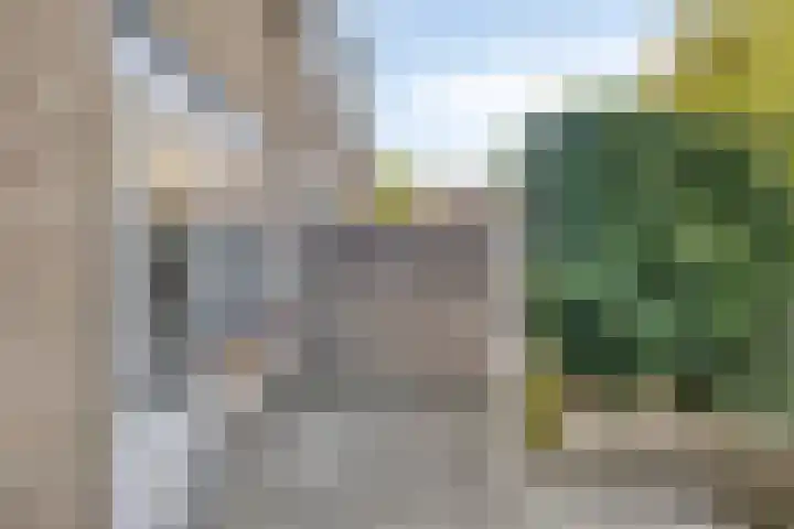Van Houtenstraat 5 Bergen op Zoom thumbnail 27