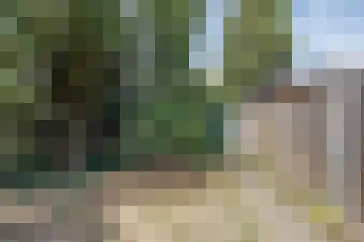 Van Houtenstraat 5 Bergen op Zoom thumbnail 29