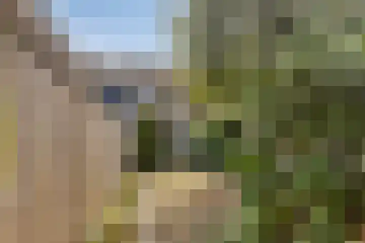 Van Houtenstraat 5 Bergen op Zoom thumbnail 30
