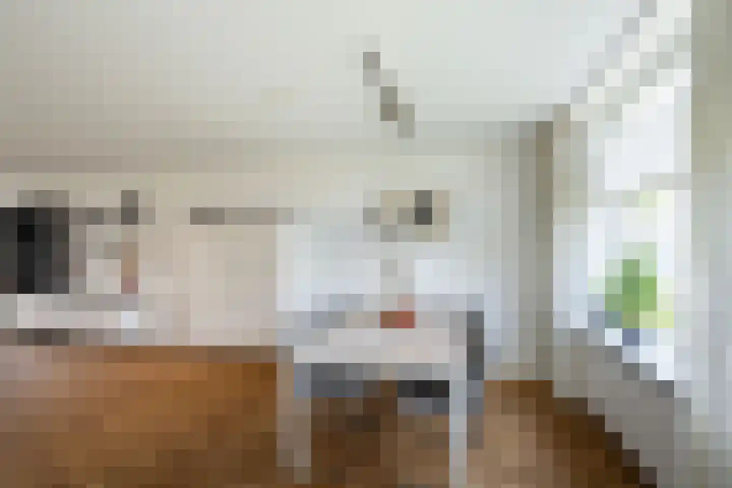 Van Houtenstraat 5 Naaldwijk thumbnail 12