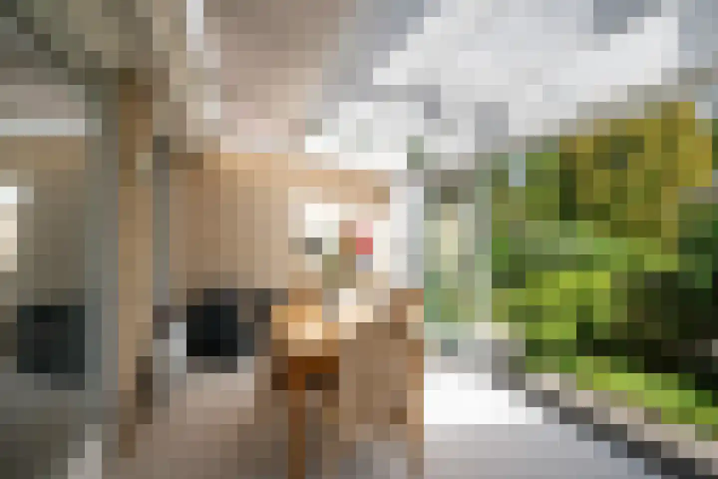 Van Houtenstraat 5 Naaldwijk thumbnail 13