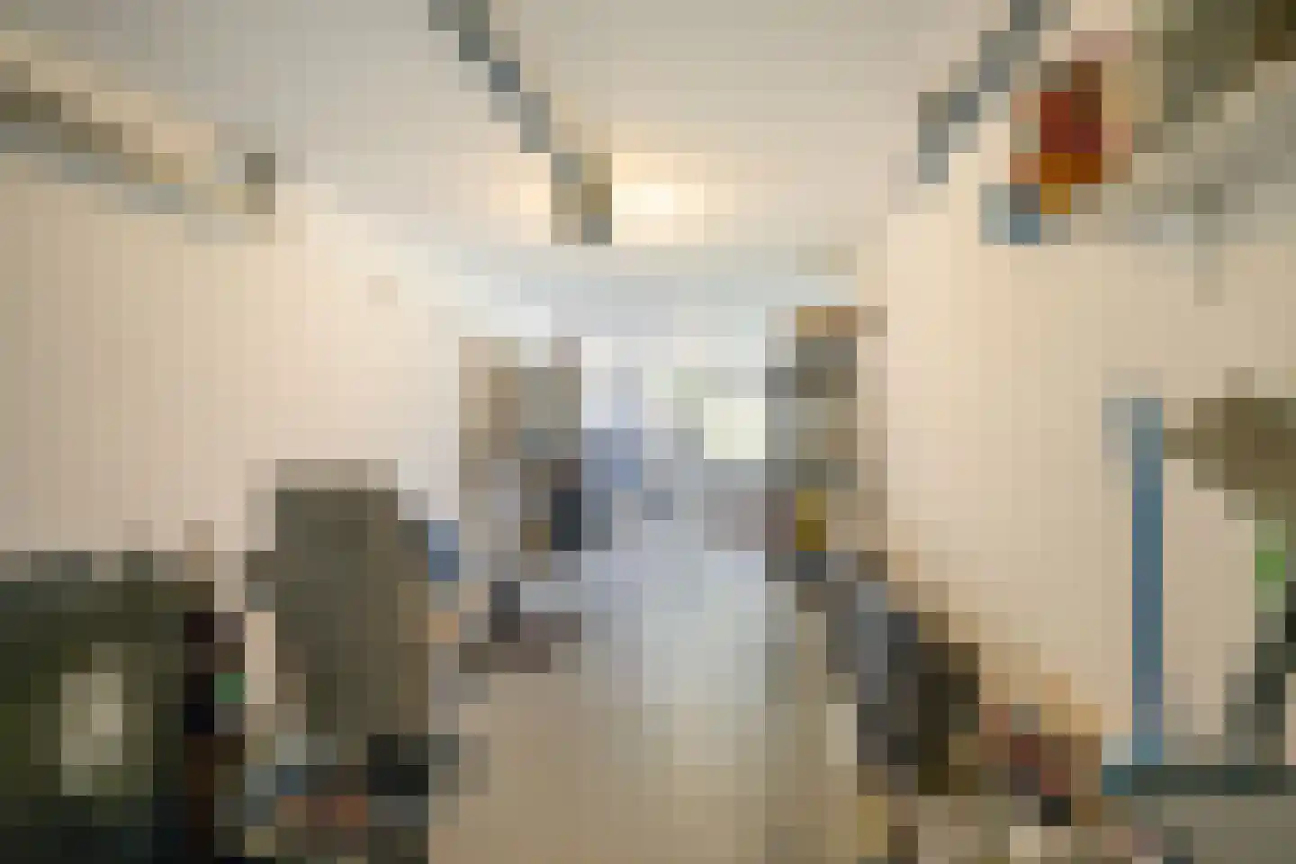 Van Houtenstraat 5 Naaldwijk thumbnail 17