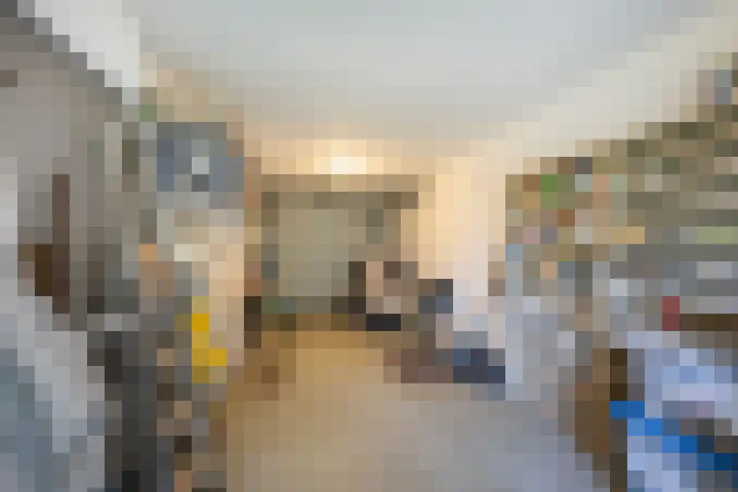 Van Houtenstraat 5 Naaldwijk thumbnail 18
