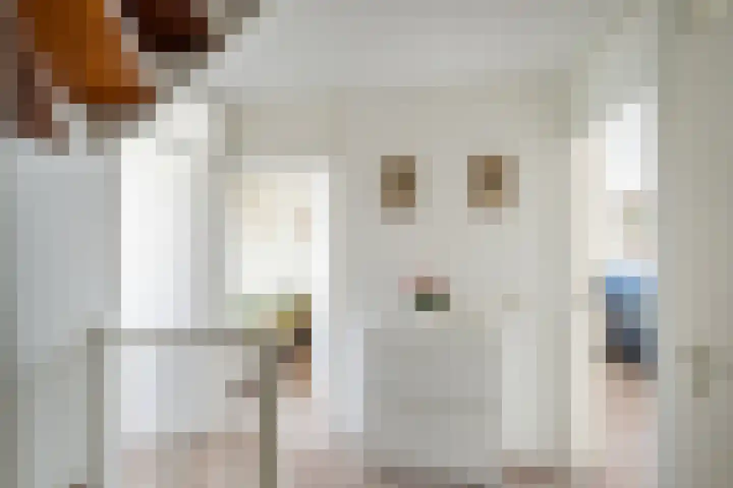 Van Houtenstraat 5 Naaldwijk thumbnail 26