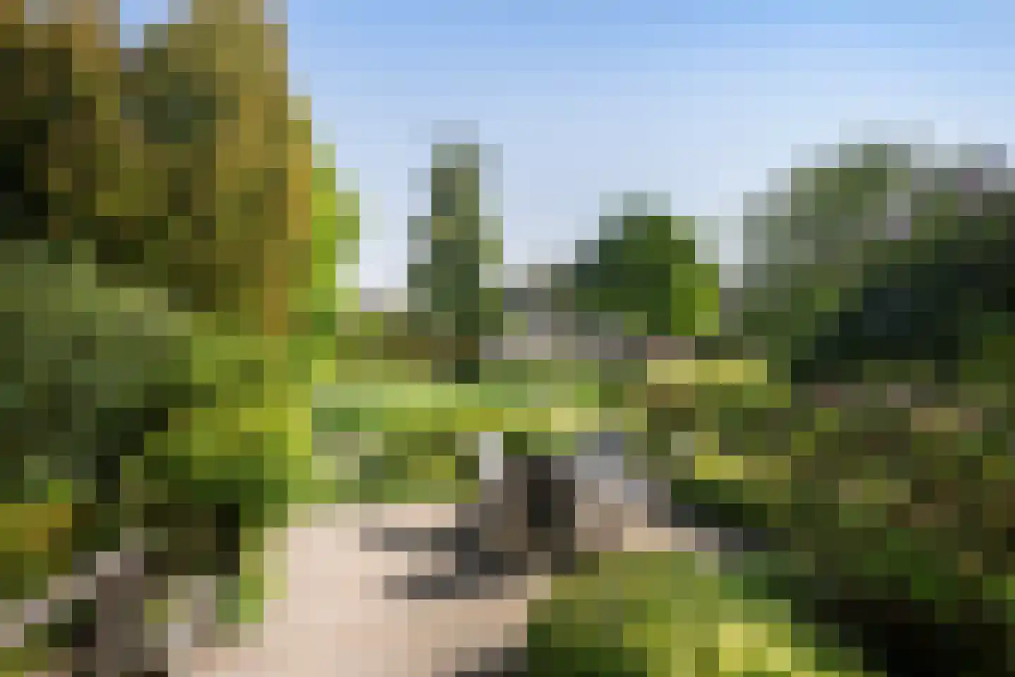 Van Houtenstraat 5 Naaldwijk thumbnail 5