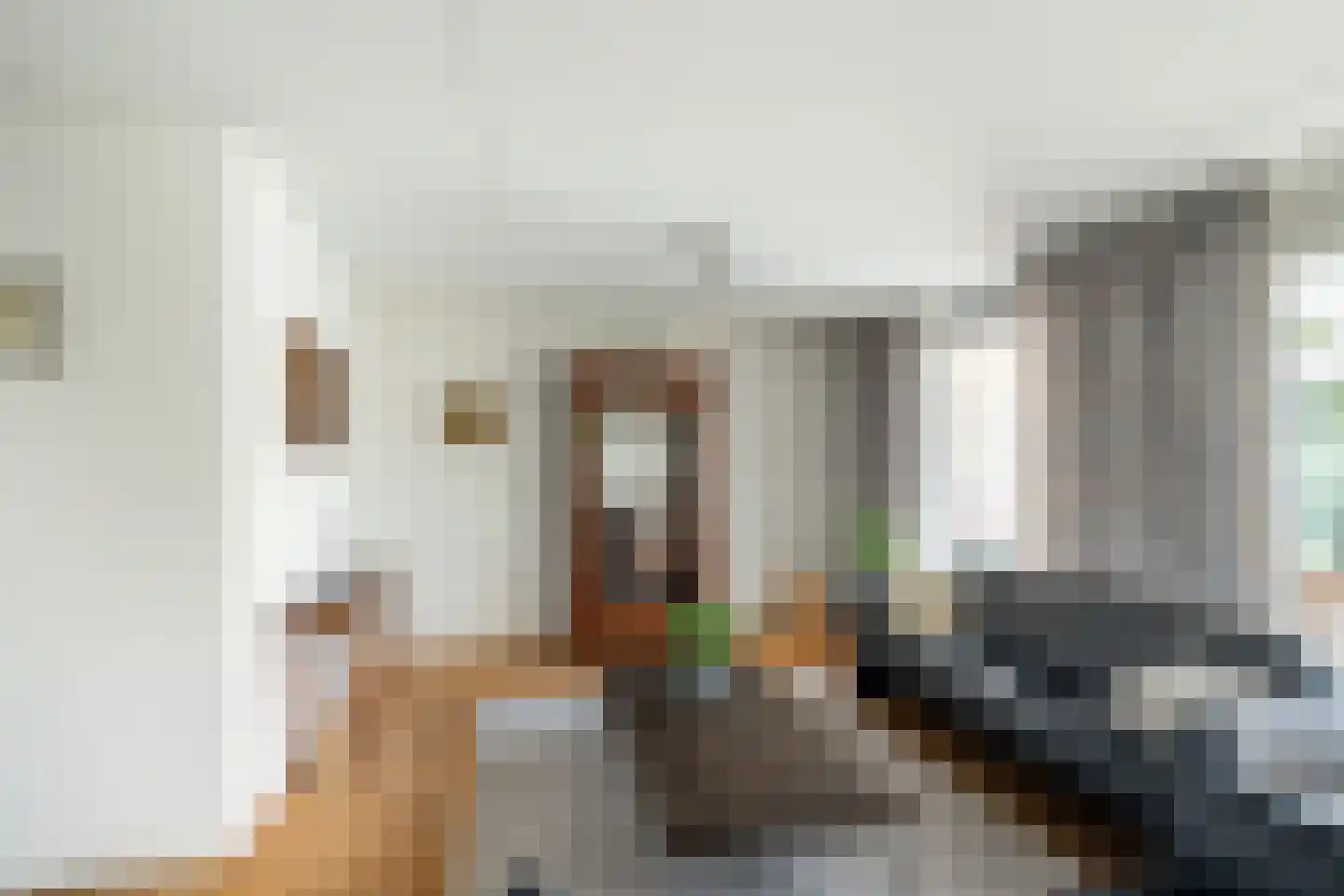 Van Houtenstraat 5 Naaldwijk thumbnail 6