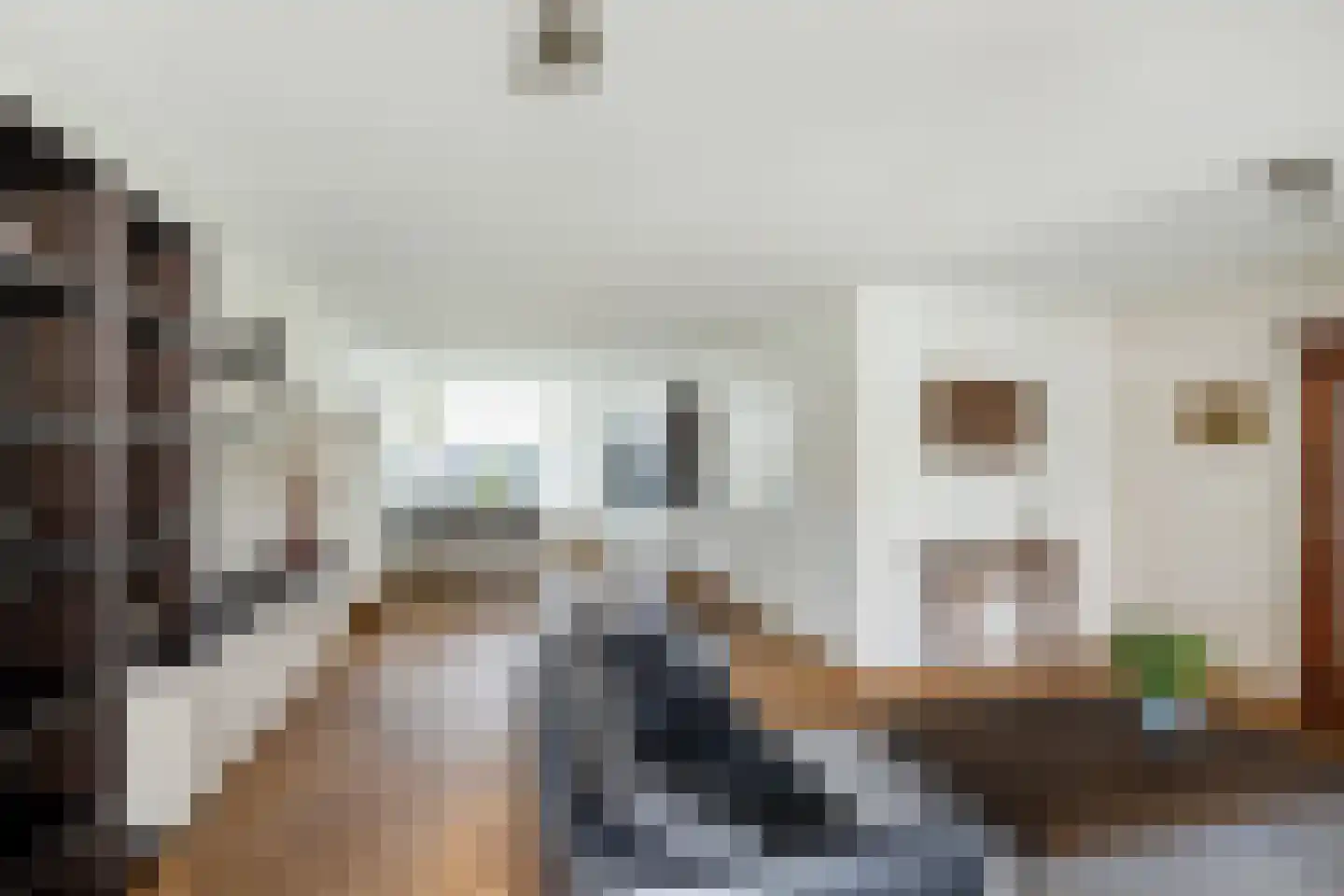 Van Houtenstraat 5 Naaldwijk thumbnail 7