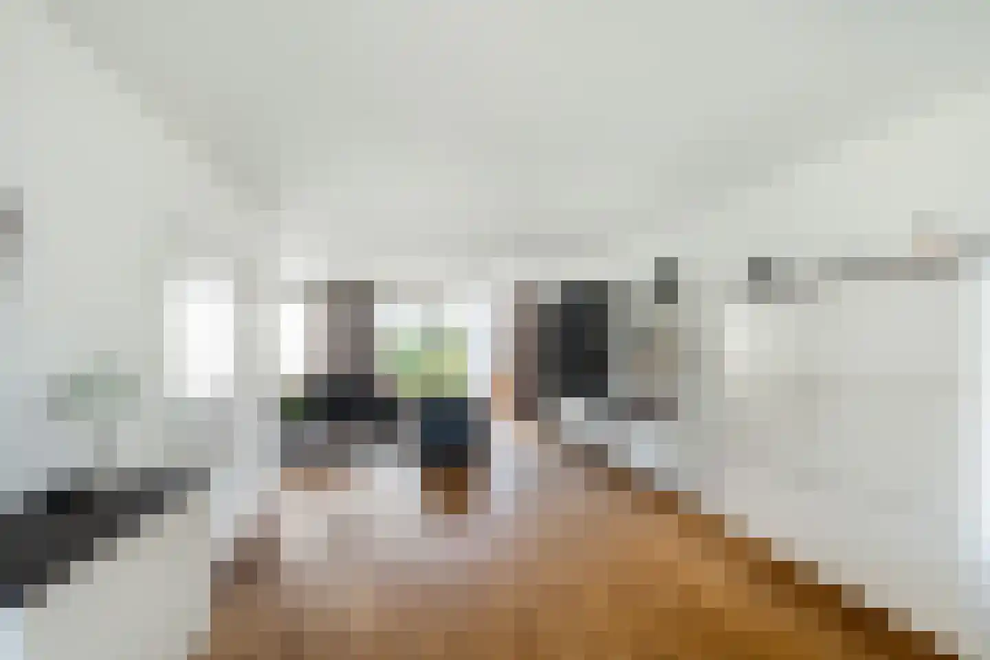 Van Houtenstraat 5 Naaldwijk thumbnail 9