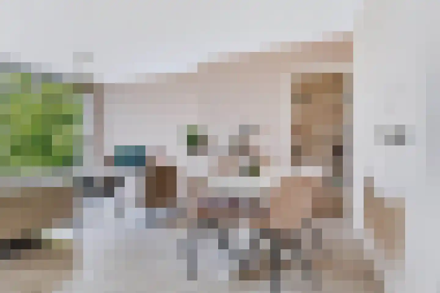Van Houtenstraat 58 Apeldoorn thumbnail 8