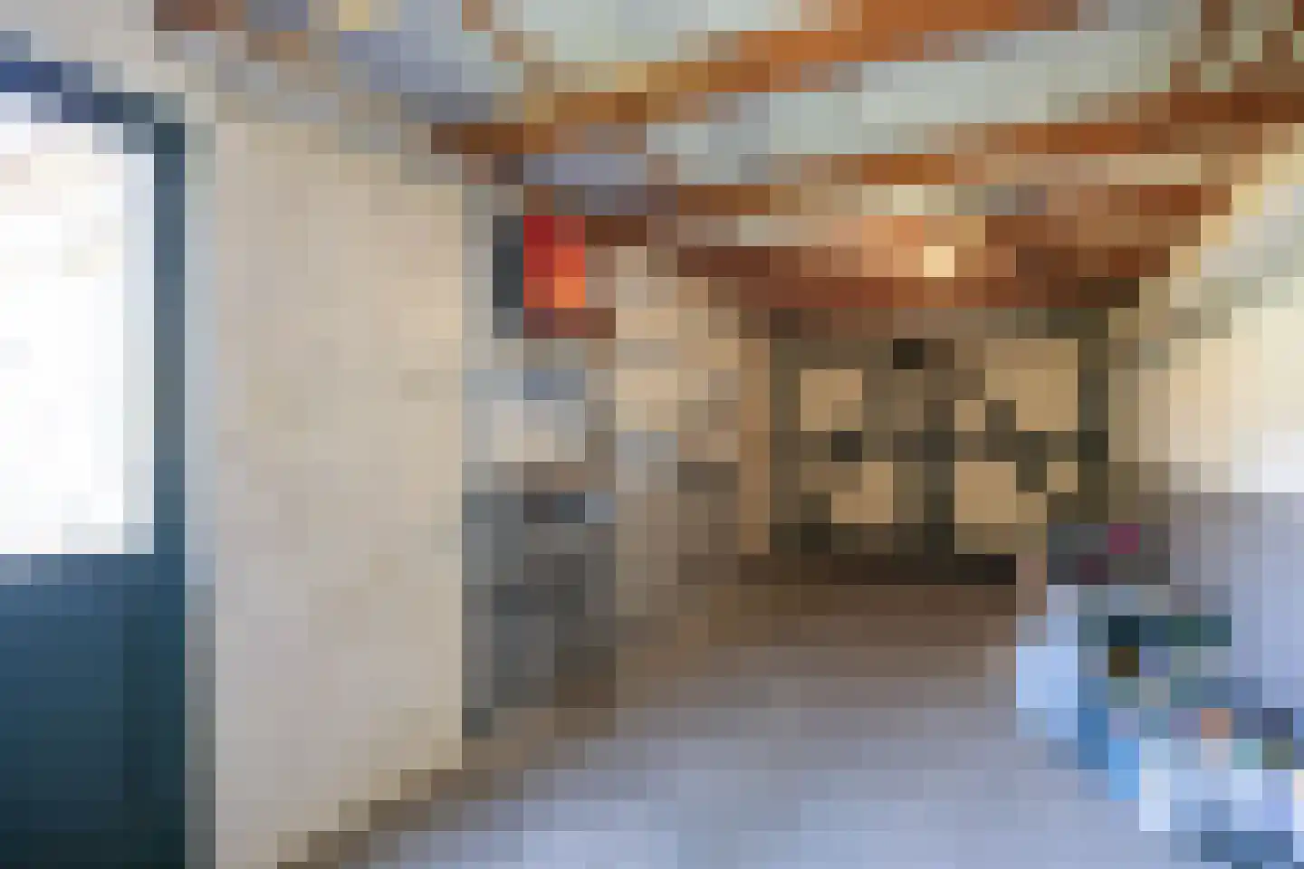 van Houtenstraat 6 Zuidhorn thumbnail 34