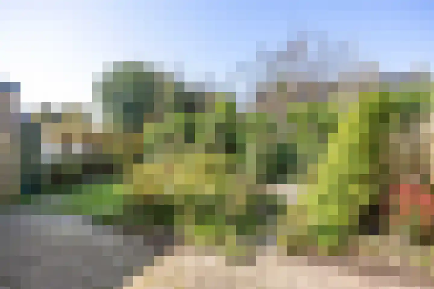 van Houtenstraat 6 Zuidhorn thumbnail 38