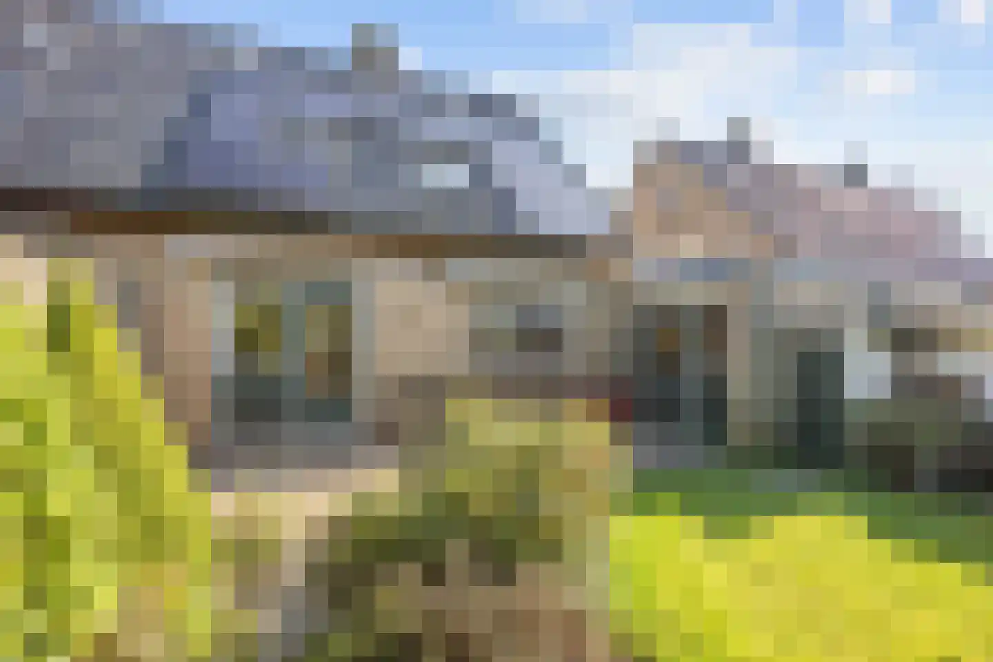 van Houtenstraat 6 Zuidhorn thumbnail 39