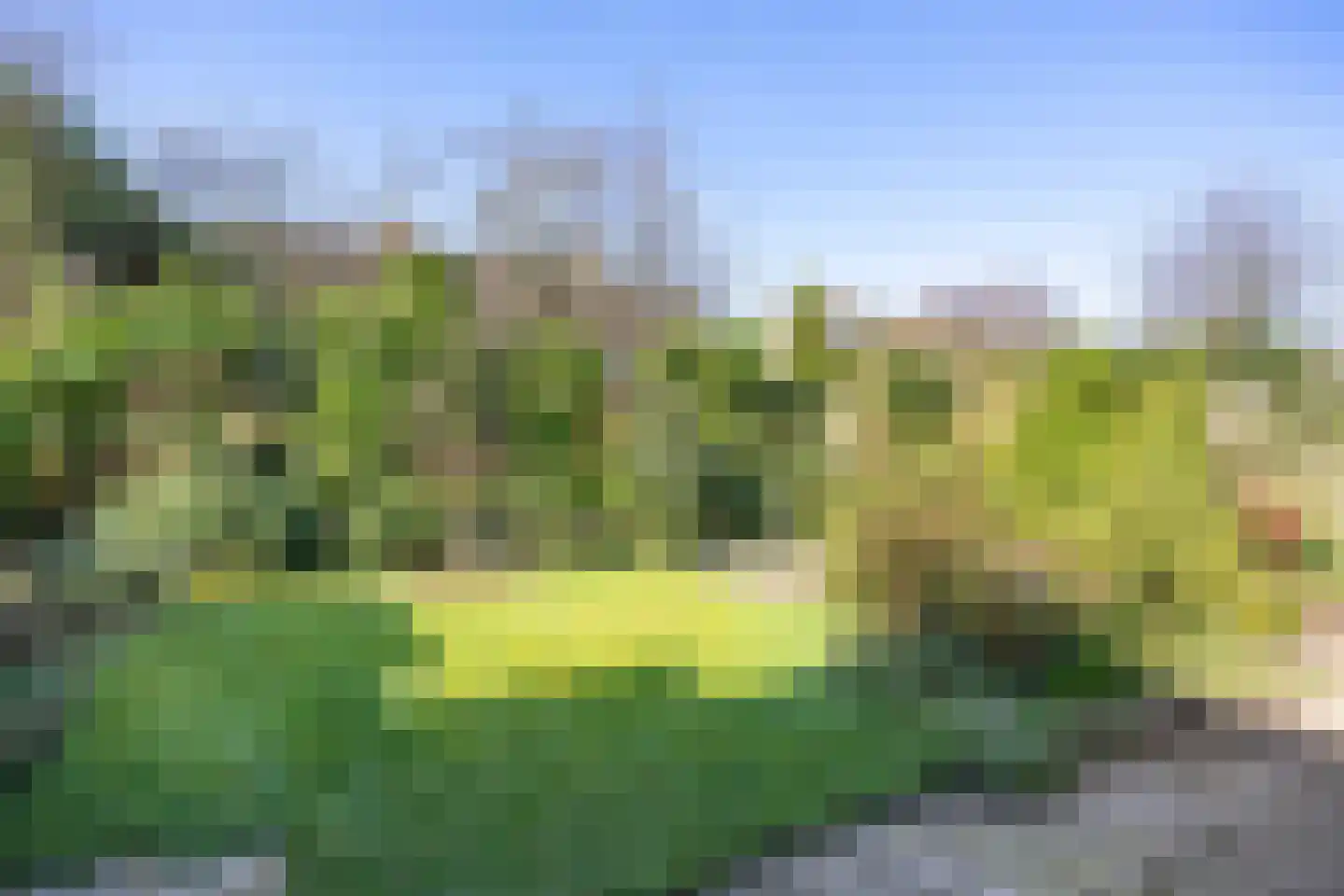 van Houtenstraat 6 Zuidhorn thumbnail 41