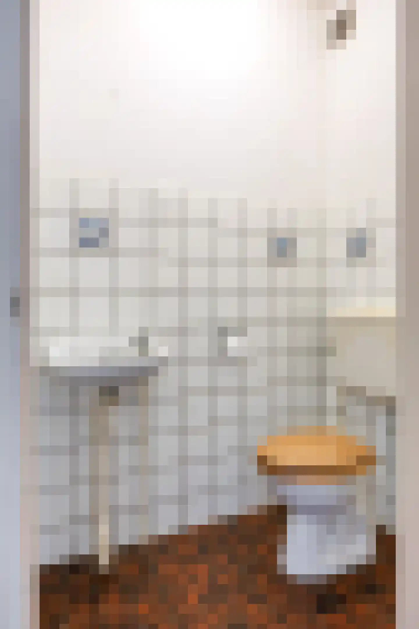 van Houtenstraat 6 Zuidhorn thumbnail 9
