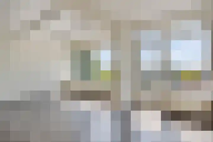 Van Houtenstraat 60 Apeldoorn thumbnail 5