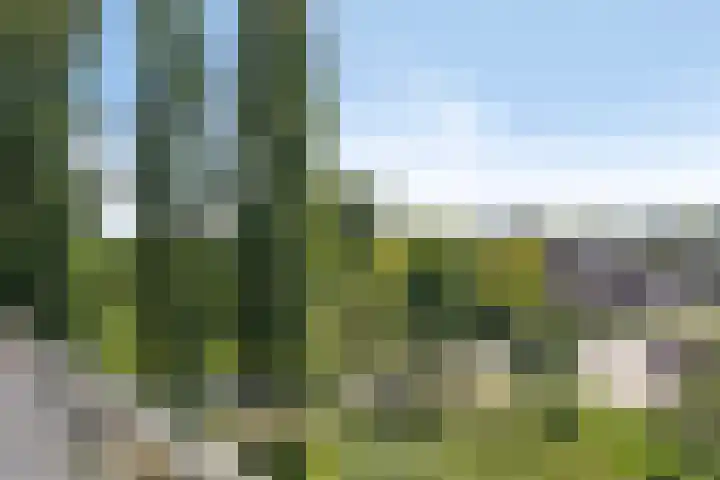 Van Houtenstraat 60 Apeldoorn thumbnail 7