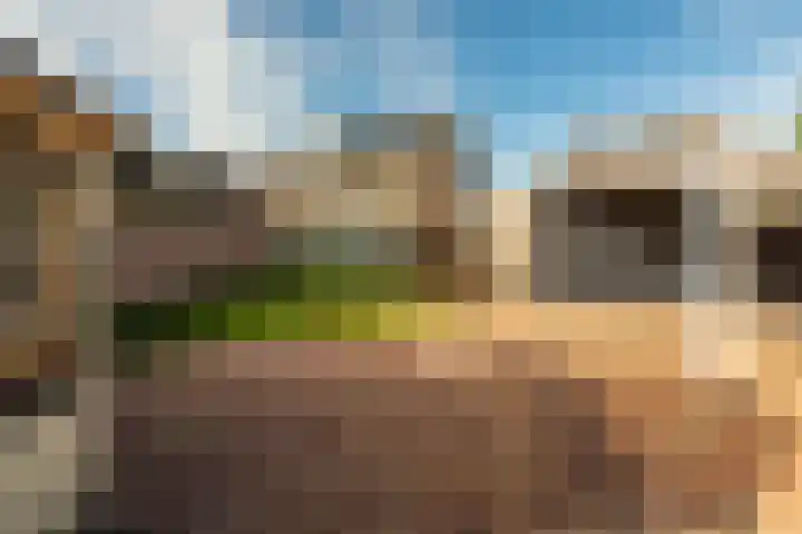 van Houtenstraat 7 Hoogerheide thumbnail 29