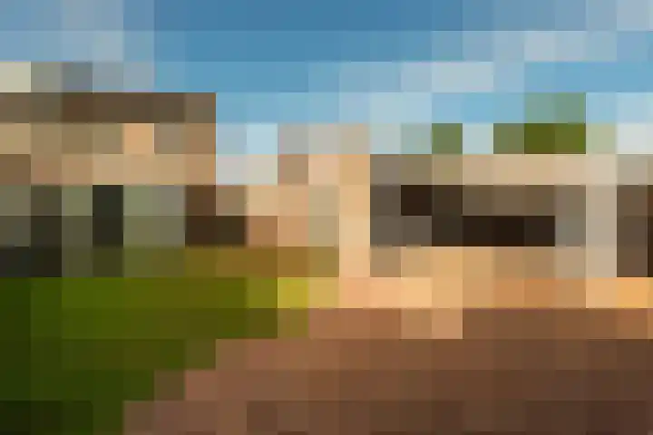 van Houtenstraat 7 Hoogerheide thumbnail 31