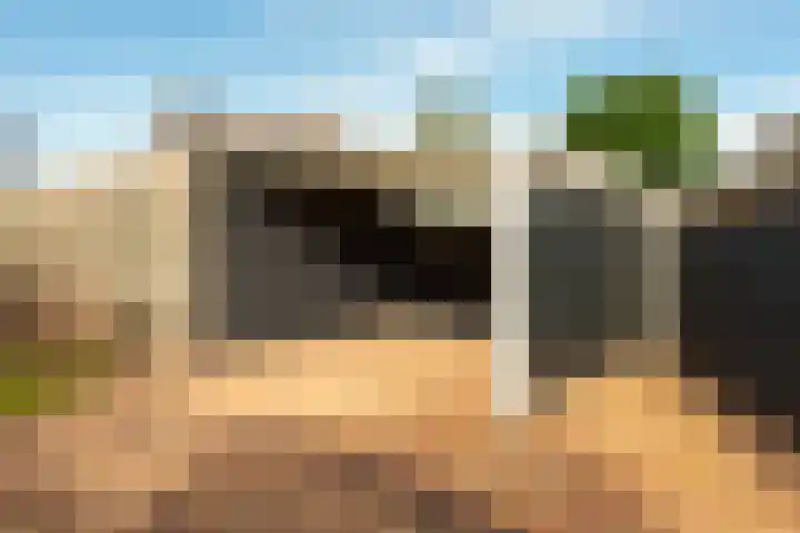 van Houtenstraat 7 Hoogerheide thumbnail 32