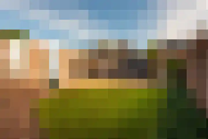 van Houtenstraat 7 Hoogerheide thumbnail 33