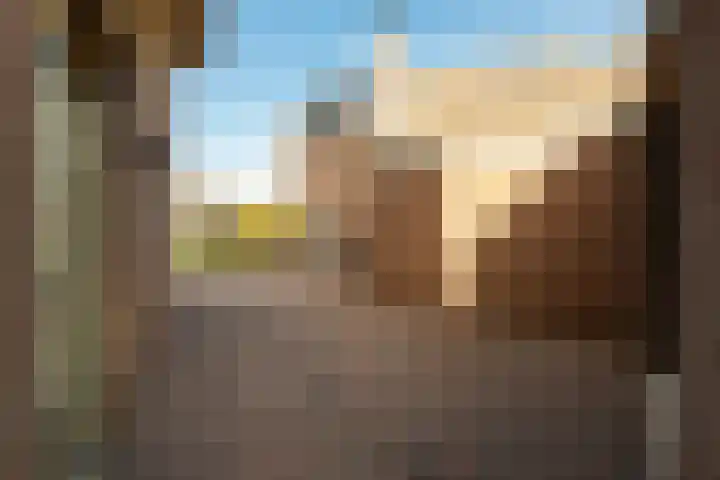 van Houtenstraat 7 Hoogerheide thumbnail 35