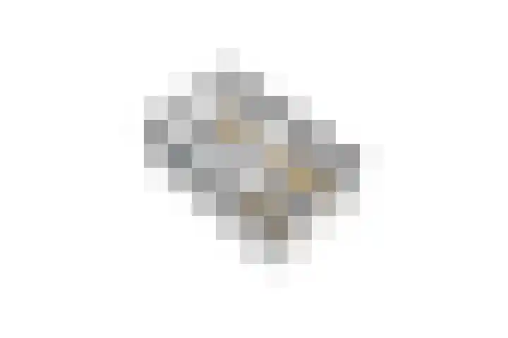 van Houtenstraat 7 Hoogerheide thumbnail 47