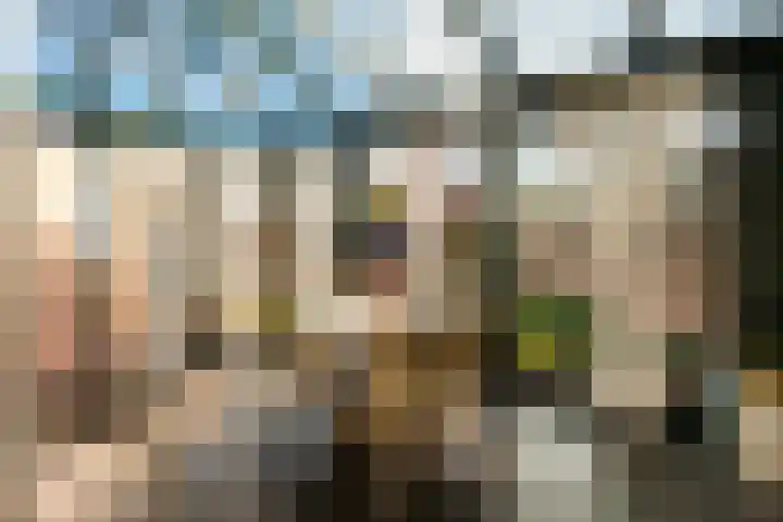van Houtenstraat 7 Hoogerheide thumbnail 5