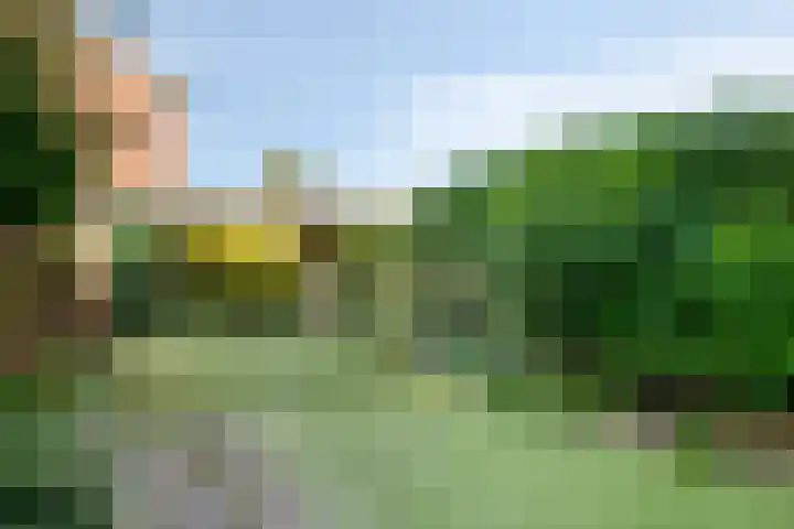 Van Houtenweg 14 Wassenaar thumbnail 14