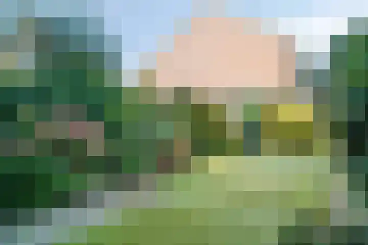 Van Houtenweg 14 Wassenaar thumbnail 15