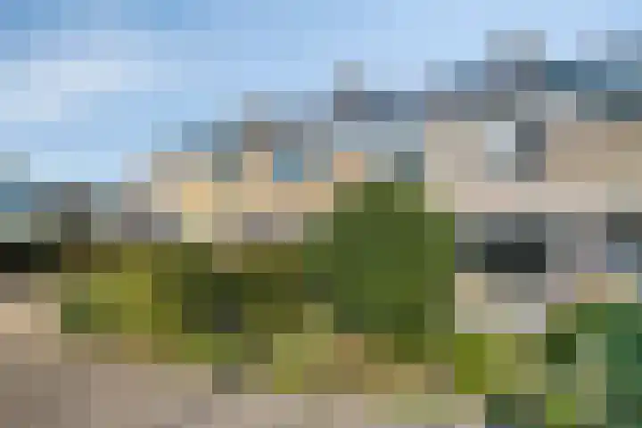 Van Houtenweg 14 Wassenaar thumbnail 6