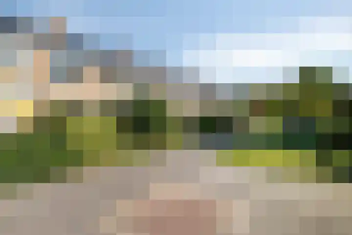 Van Houtenweg 14 Wassenaar thumbnail 7