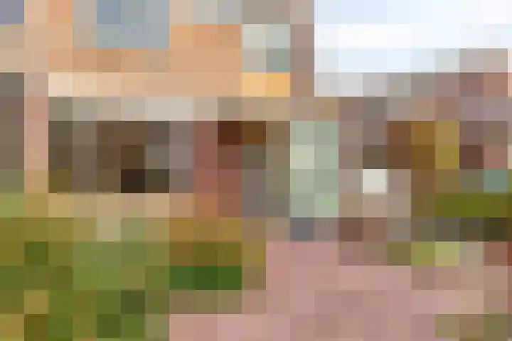 Van Houtenweg 74 Wassenaar thumbnail 7