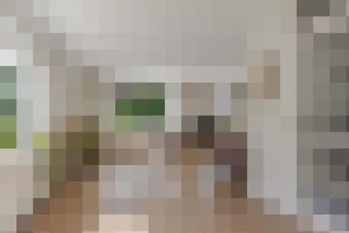 Van Houtenwei 8 Siegerswoude thumbnail 13