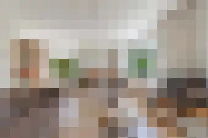 Van Houtenwei 8 Siegerswoude thumbnail 15