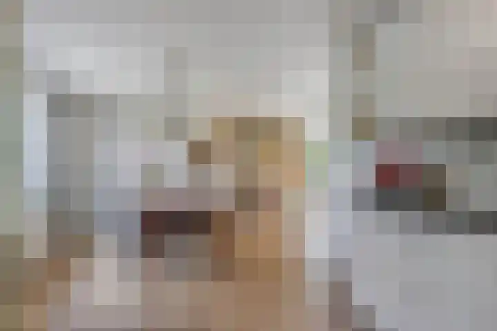 Van Houtenwei 8 Siegerswoude thumbnail 18
